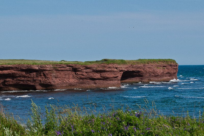 20100720_155543 Nikon D300.jpg - Seascape south of Perce QC, Gaspe peninsula.